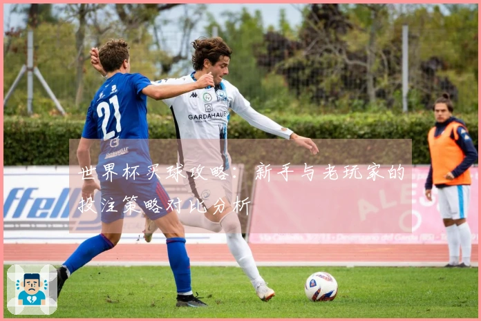 世界杯买球攻略：新手与老玩家的投注策略对比分析