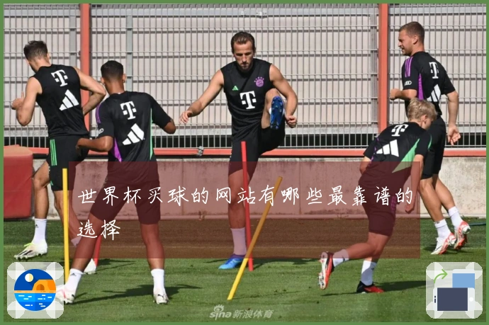 世界杯买球的网站有哪些最靠谱的选择