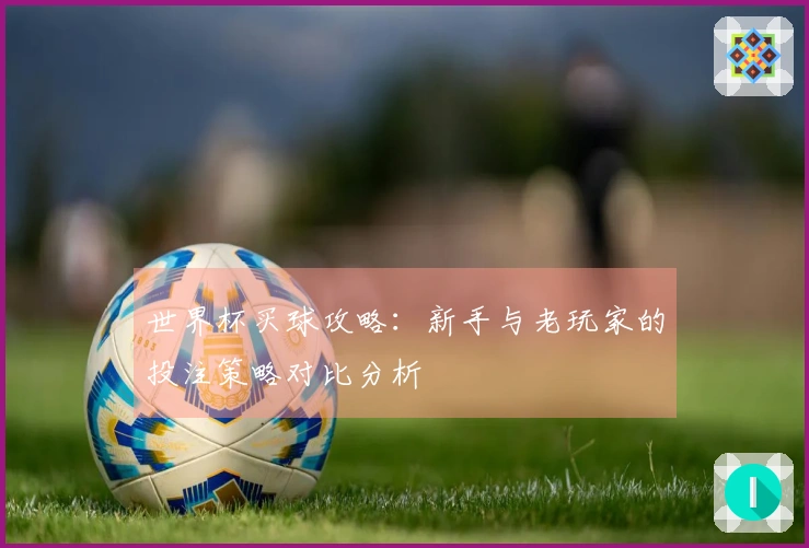 世界杯买球攻略：新手与老玩家的投注策略对比分析