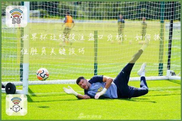 世界杯让球投注盘口分析：如何抓住胜负关键技巧
