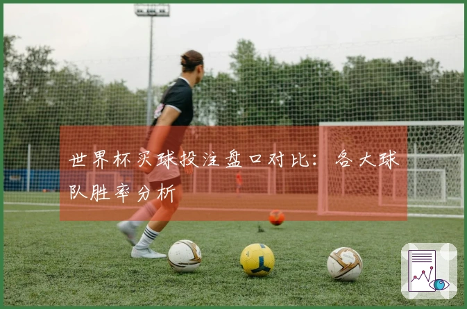 世界杯买球投注盘口对比：各大球队胜率分析