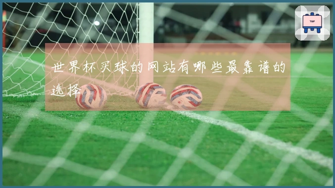 世界杯买球的网站有哪些最靠谱的选择