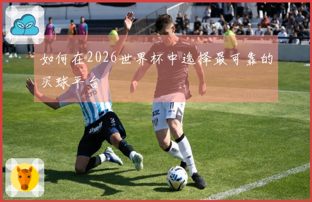 如何在2026世界杯中选择最可靠的买球平台